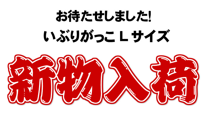 新物入荷！数量限定発売